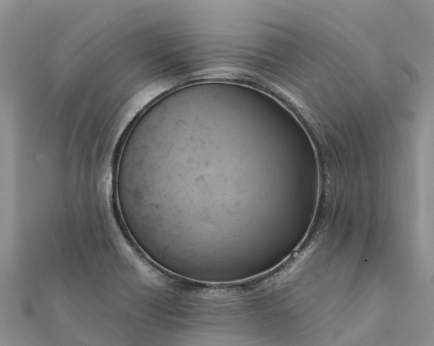 X0000112091418200908181254