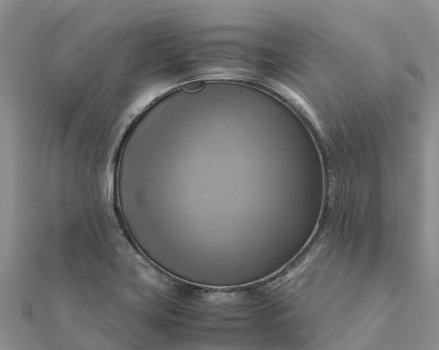 X0000112091419200908181254