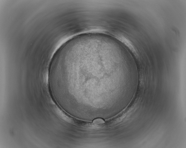 X0000112091420200908181254