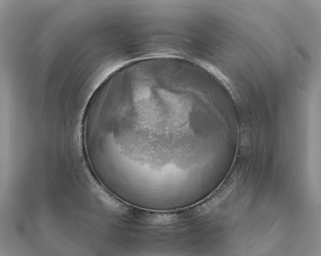 X0000112091423200908181254