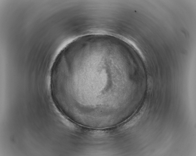 X0000112091424200908181254