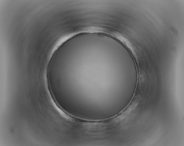 X0000112091429200908181254