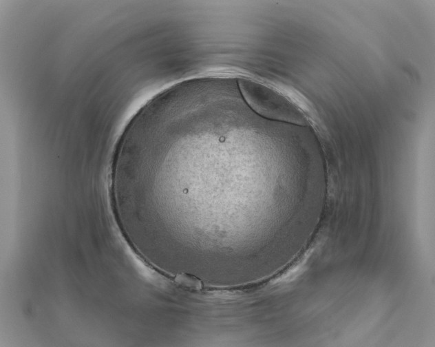 X0000112091430200908181254