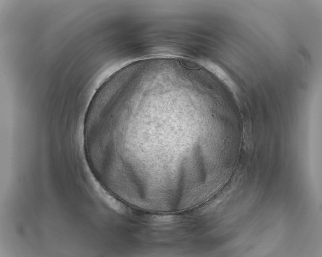 X0000112091431200908181254