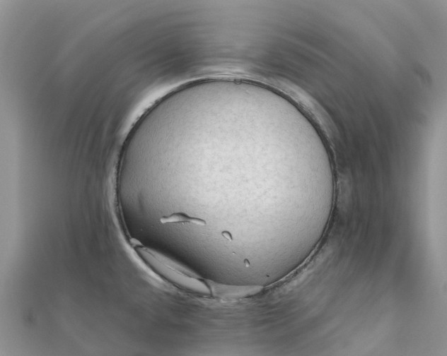 X0000112091432200908181254