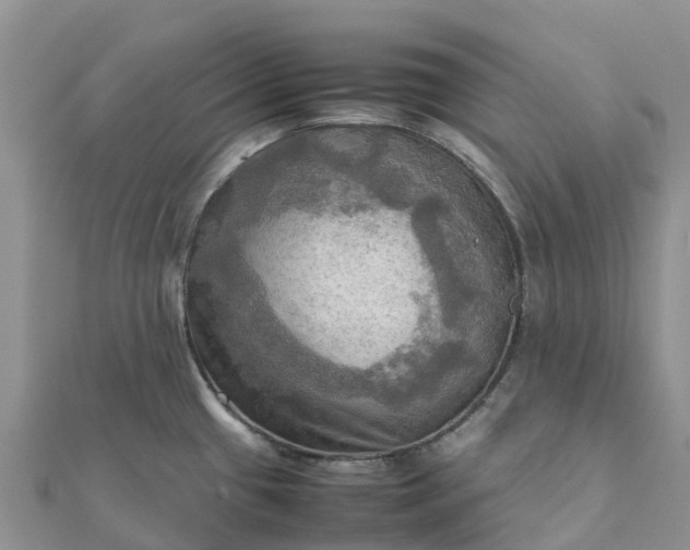 X0000112091433200908181254