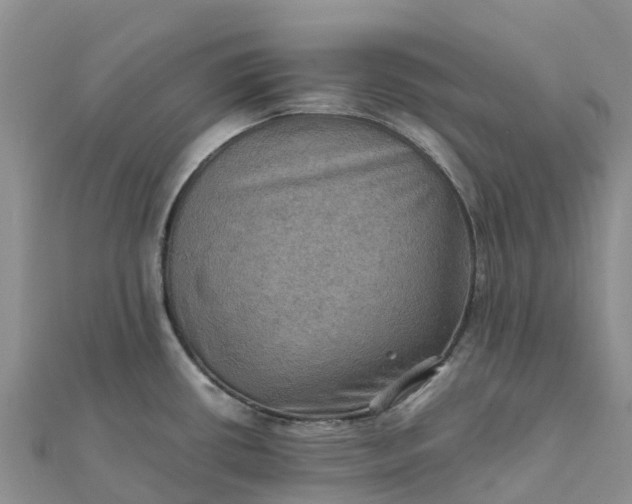 X0000112091434200908181254