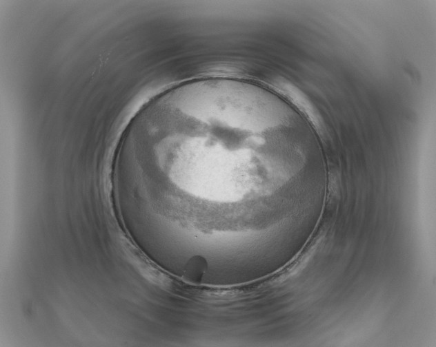 X0000112091435200908181254