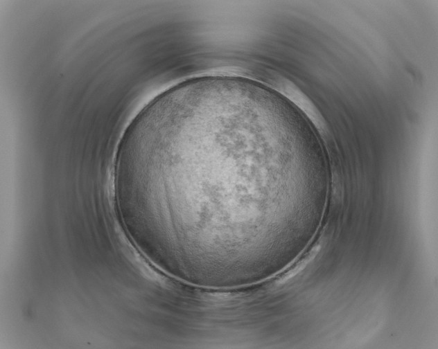 X0000112091436200908181254