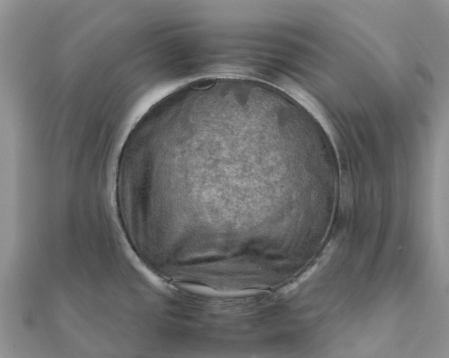 X0000112091437200908181254