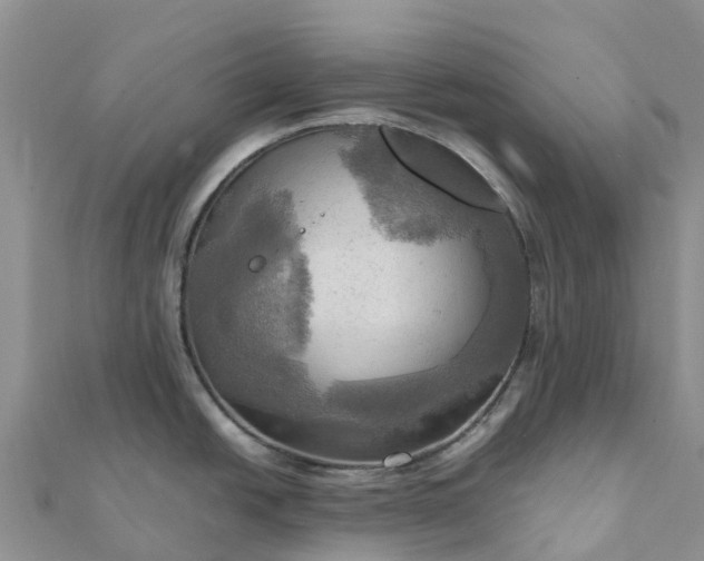 X0000112091438200908181254