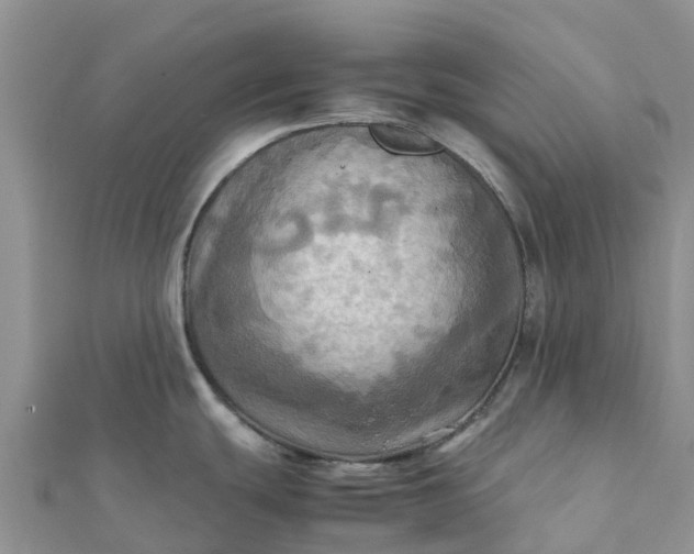 X0000112091439200908181254