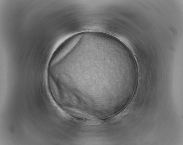 X0000112091440200908181254