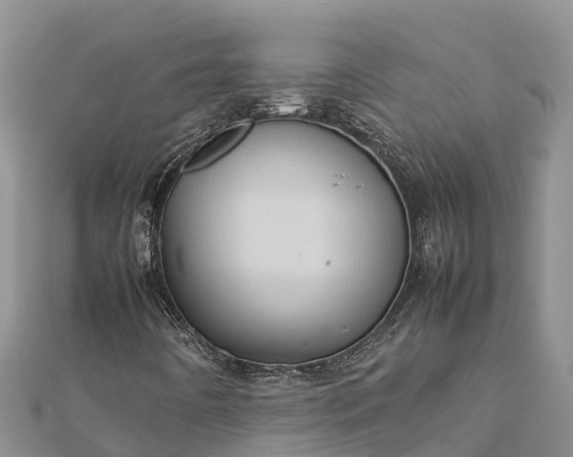 X0000112091442200908181253