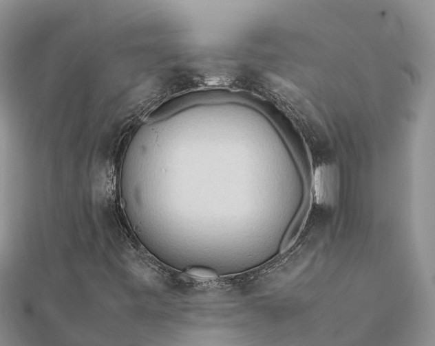 X0000112091443200908181253