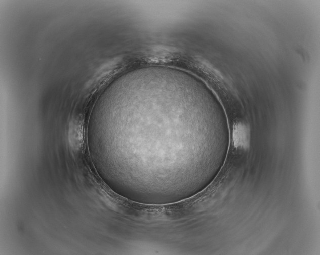 X0000112091444200908181253