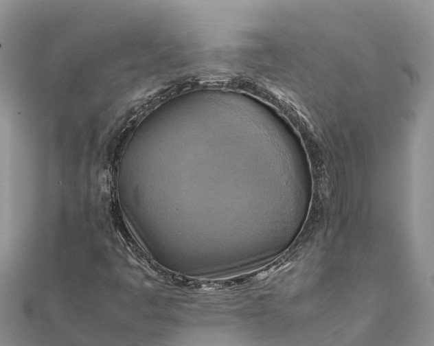 X0000112091445200908181253