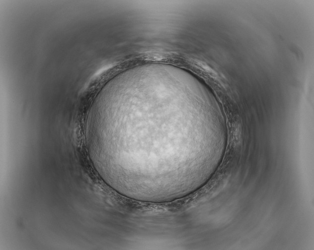 X0000112091446200908181253