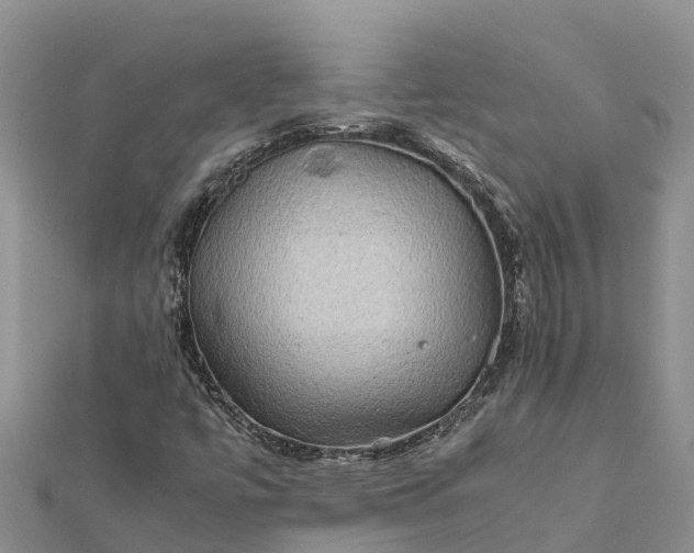 X0000112091447200908181253