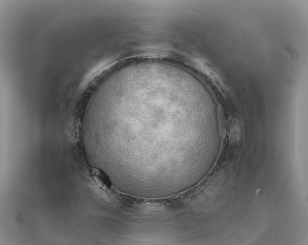 X0000112091448200908181253