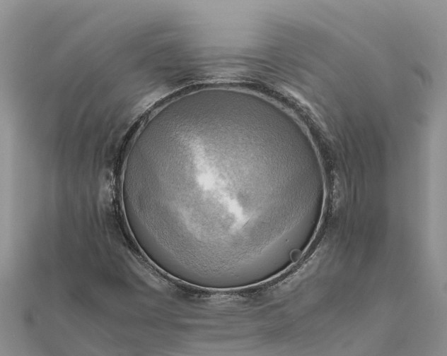 X0000112091449200908181253