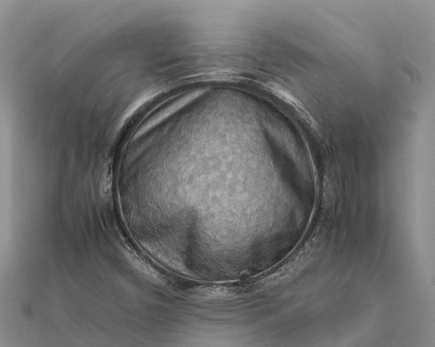 X0000112091450200908181253