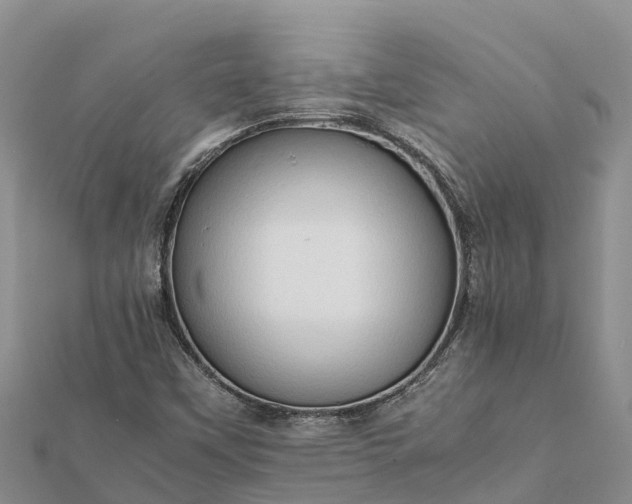 X0000112091451200908181253