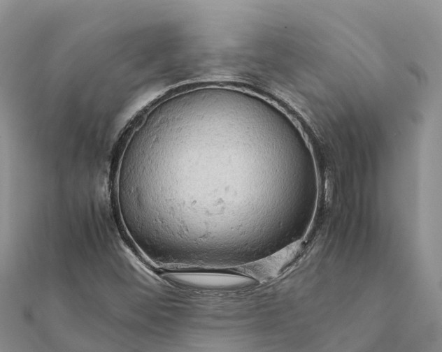 X0000112091452200908181253