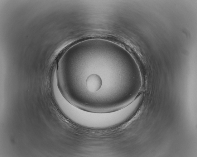 X0000112091453200908181253