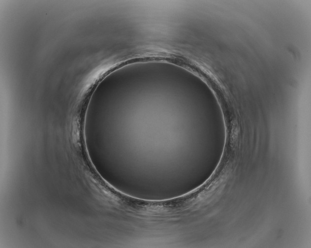 X0000112091455200908181253