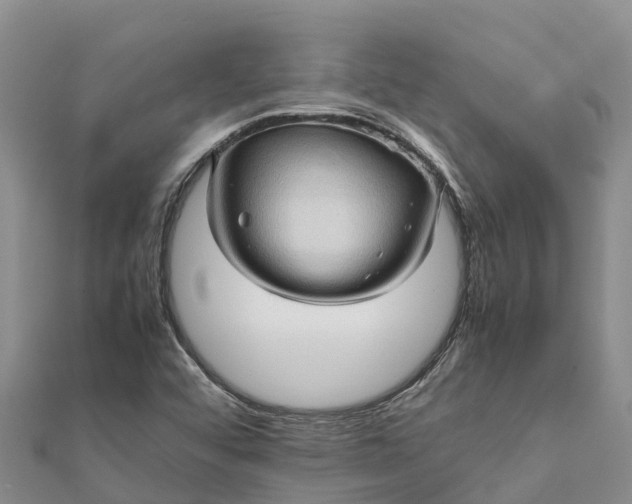 X0000112091456200908181253