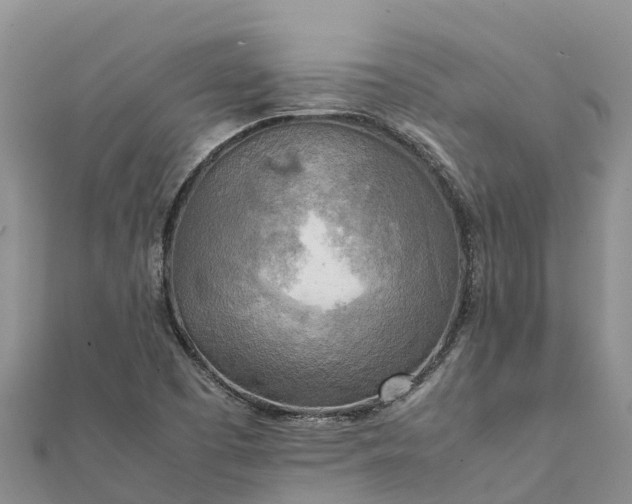 X0000112091457200908181253