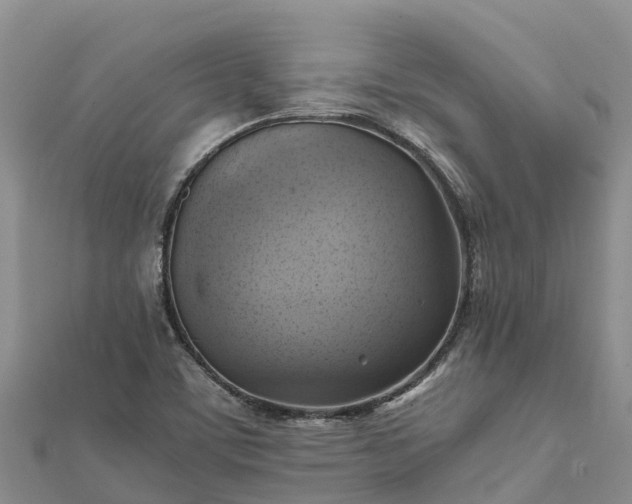 X0000112091459200908181253