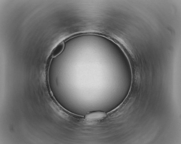 X0000112091460200908181253