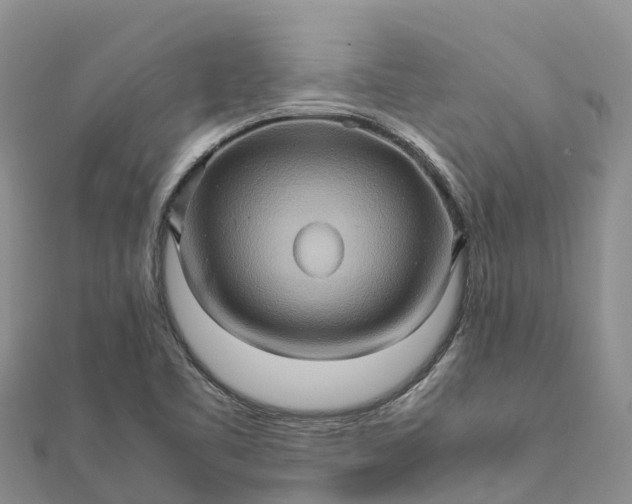 X0000112091461200908181253