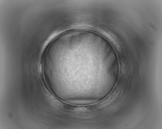 X0000112091462200908181253