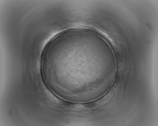 X0000112091463200908181253