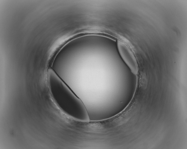 X0000112091464200908181253