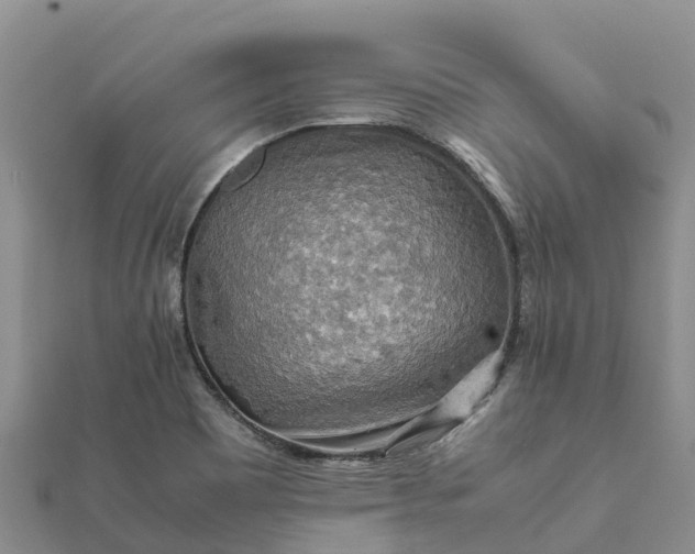 X0000112091465200908181253