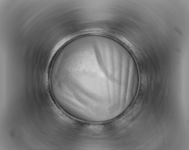 X0000112091466200908181253