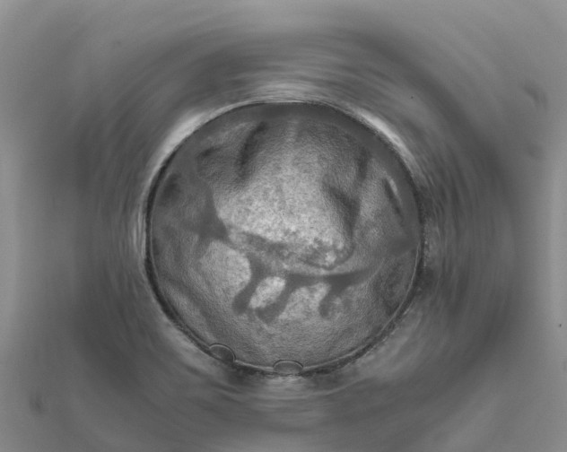 X0000112091467200908181253