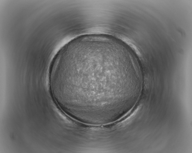 X0000112091469200908181253