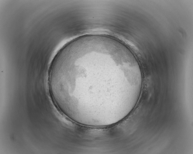 X0000112091470200908181253