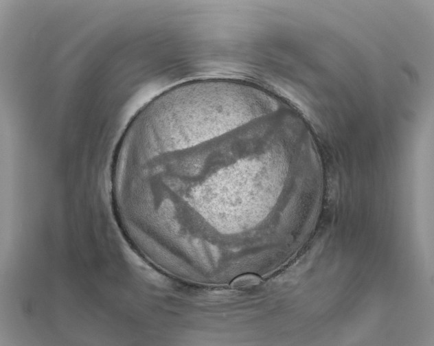 X0000112091471200908181253