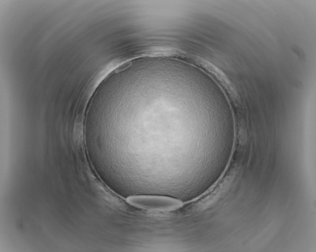 X0000112091473200908181253