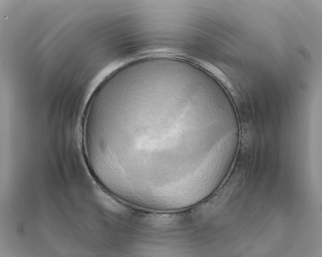 X0000112091474200908181253