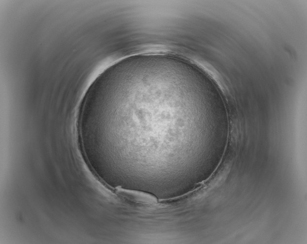 X0000112091475200908181253