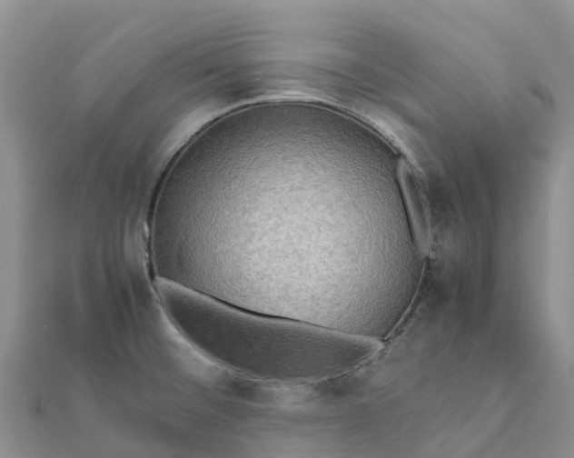 X0000112091476200908181253