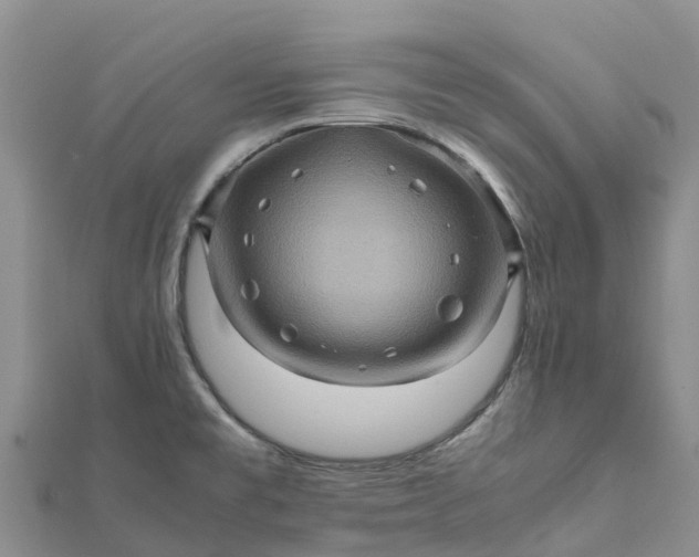 X0000112091477200908181253