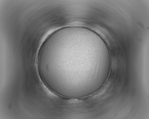 X0000112091478200908181253